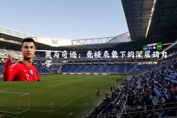 黑马奇迹：竞技表象下的深层动力学